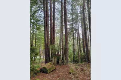 35136 Timber Ridge Road, The Sea Ranch, CA 95497 - Photo 29