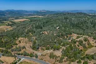 950 Canyon Rd, Geyserville, CA 95441 - Photo 9