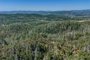 950 Canyon Rd, Geyserville, CA 95441 - Photo 15