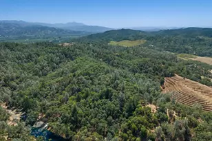 950 Canyon Rd, Geyserville, CA 95441 - Photo 13