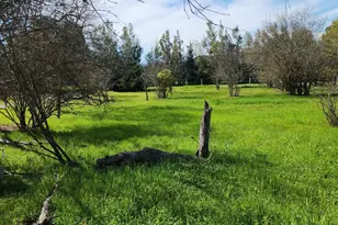 7874 Heather Ln, Vacaville, CA 95688 - Photo 5