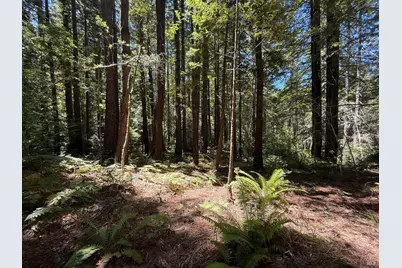 35206 Fly Cloud Road, The Sea Ranch, CA 95497 - Photo 5