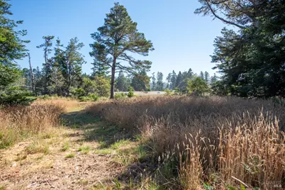 35858 Sea Ridge Road, The Sea Ranch, CA 95497 - Photo 7