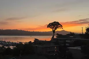 14 Marie St, Sausalito, CA 94965 - Photo 41