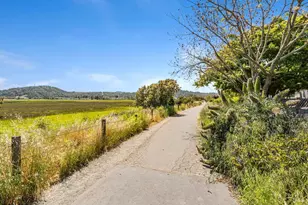 6 Egret View, San Rafael, CA 94901 - Photo 35