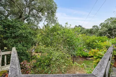6 Cameron Street, Inverness, CA 94937 - Photo 41