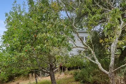 6 Cameron Street, Inverness, CA 94937 - Photo 27