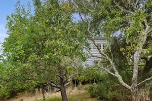 6 Cameron St, Inverness, CA 94937 - Photo 27