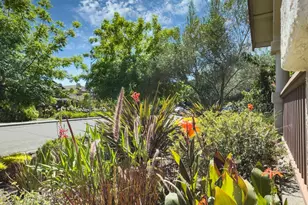 142 Clay St, Sonoma, CA 95476 - Photo 5