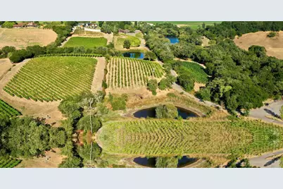 3291 Westside Road, Healdsburg, CA 95448 - Photo 47