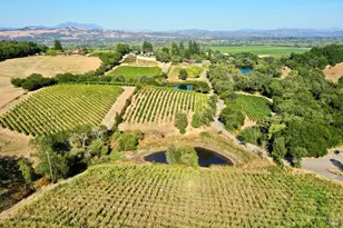3291 Westside Rd, Healdsburg, CA 95448 - Photo 41