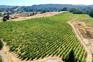 3291 Westside Rd, Healdsburg, CA 95448 - Photo 41