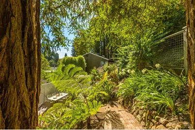 230 Miller Avenue, Mill Valley, CA 94941 - Photo 39