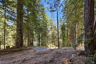 17554 Woods Avenue, Guerneville, CA 95446 - Photo 5
