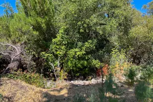 56 Portola Cir, Sonoma, CA 95476 - Photo 23