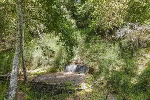 169 Resaca Ave, Forest Knolls, CA 94933 - Photo 37