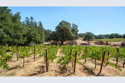 1240 Alexander Valley Road, Healdsburg, CA 95448 - Photo 17