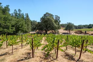 1240 Alexander Valley Rd, Healdsburg, CA 95448 - Photo 17