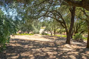 1240 Alexander Valley Rd, Healdsburg, CA 95448 - Photo 19