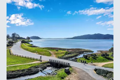 17 Cecilia Court, Tiburon, CA 94920 - Photo 61
