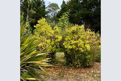 14340 Prairie Way, Mendocino, CA 95460 - Photo 29
