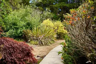 14340 Prairie Way, Mendocino, CA 95460 - Photo 31