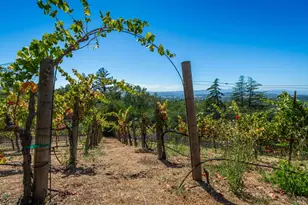 6006 Wild Horse Valley Rd, Napa, CA 94558 - Photo 55