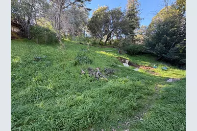 59 Clayton Street, San Rafael, CA 94901 - Photo 5