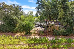 1261 Spring Brook Ct, Saint Helena, CA 94574 - Photo 59
