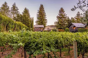 3960 Hagen Rd, Napa, CA 94558 - Photo 71