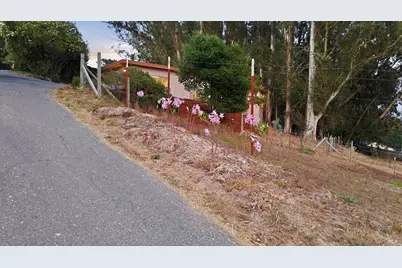 2455 Bloomfield Road, Sebastopol, CA 95472 - Photo 61