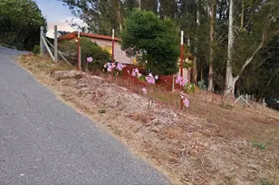 2455 Bloomfield Rd, Sebastopol, CA 95472 - Photo 61