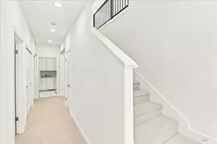 61 Terrace Ave, San Rafael, CA 94901 - Photo 21