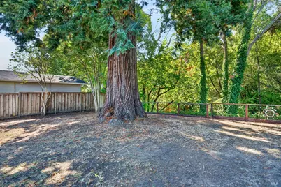 3450 Cypress Way, Santa Rosa, CA 95405 - Photo 43