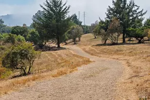 105 Headlands Ct, Sausalito, CA 94965 - Photo 37