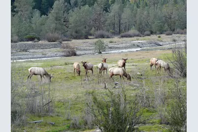 30599 White Horse Crossing Road, Potter Valley, CA 95469 - Photo 27