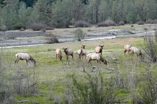 30599 White Horse Crossing Rd, Potter Valley, CA 95469 - Photo 27