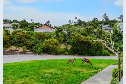 34 Lagoon Vista, Tiburon, CA 94920 - Photo 23