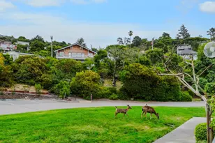 34 Lagoon Vista, Tiburon, CA 94920 - Photo 23