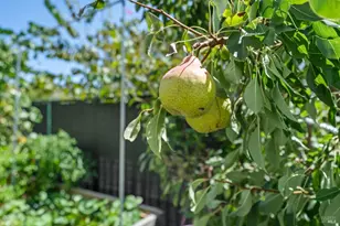 1605 Country Manor Dr, Santa Rosa, CA 95403 - Photo 35