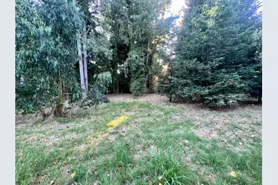 6274 Van Keppel Road, Forestville, CA 95436 - Photo 7
