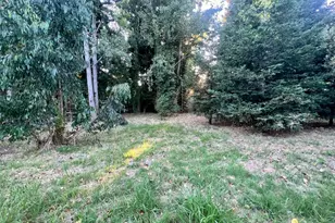 6274 Van Keppel Rd, Forestville, CA 95436 - Photo 9