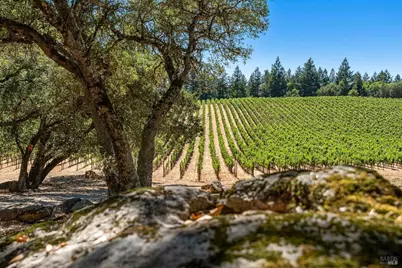 1075 Greenfield Road, Saint Helena, CA 94574 - Photo 3
