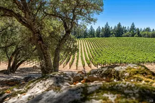 1075 Greenfield Rd, Saint Helena, CA 94574 - Photo 3