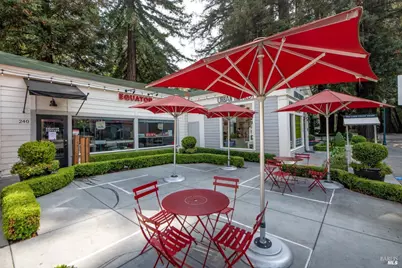 337 Madrone Avenue, Larkspur, CA 94939 - Photo 45