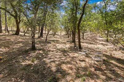 7250 Hwy 116 Highway, Forestville, CA 95436 - Photo 11