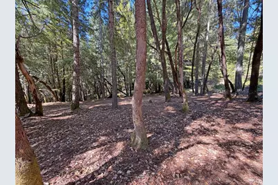 25023 Robin Circle, Willits, CA 95490 - Photo 3
