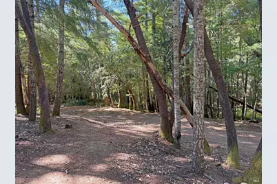 25023 Robin Circle, Willits, CA 95490 - Photo 7