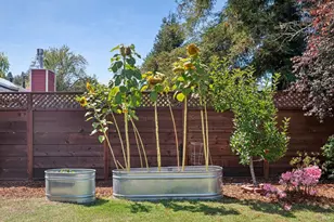 312 Marin Ave, Mill Valley, CA 94941 - Photo 21