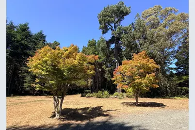 31290 Thomas Lane, Fort Bragg, CA 95437 - Photo 33